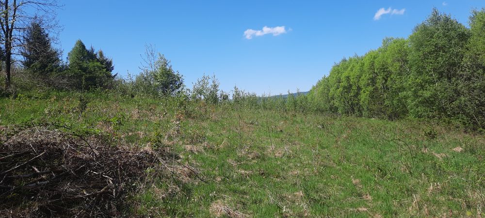 Działka rekreacyjno-widokową 26arów