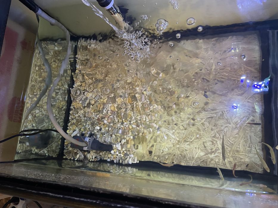 Vendo aquário de 200 l com 27 peixes