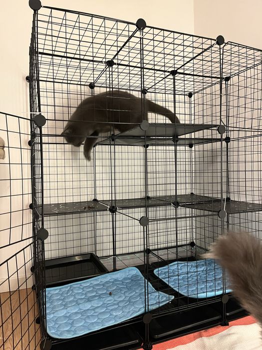 Gaiola jaula para animais (nao negociavel)