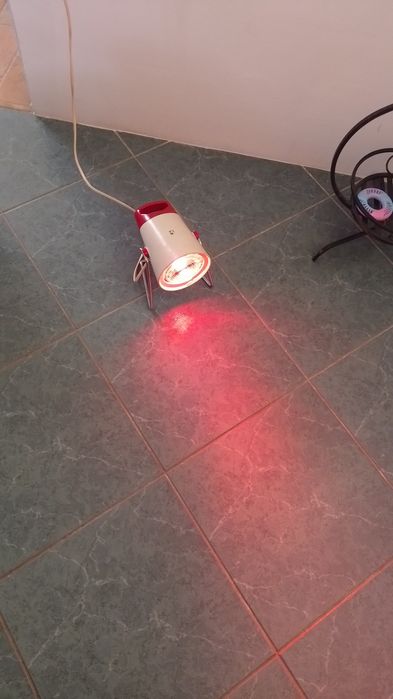 Lampa na podczerwień Philips Solux