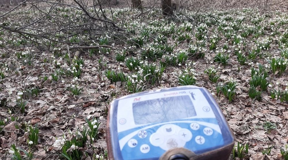 Minelab X-Terra 705 + NEL Tornado 18,75 КгЦ: 14 500 грн. - Інші ...