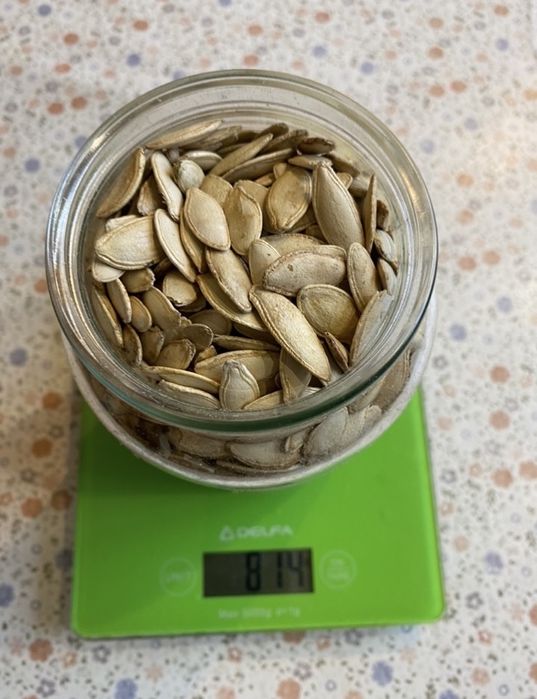 Продам насіння семечку