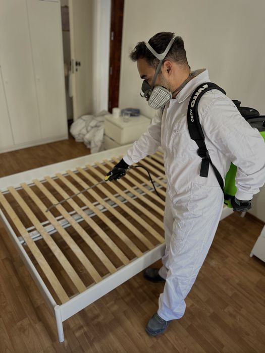 DESINFESTAÇÃO CONTROLO DE PRAGAS PERCEVEJOS BARATAS PULGAS TÉRMITAS