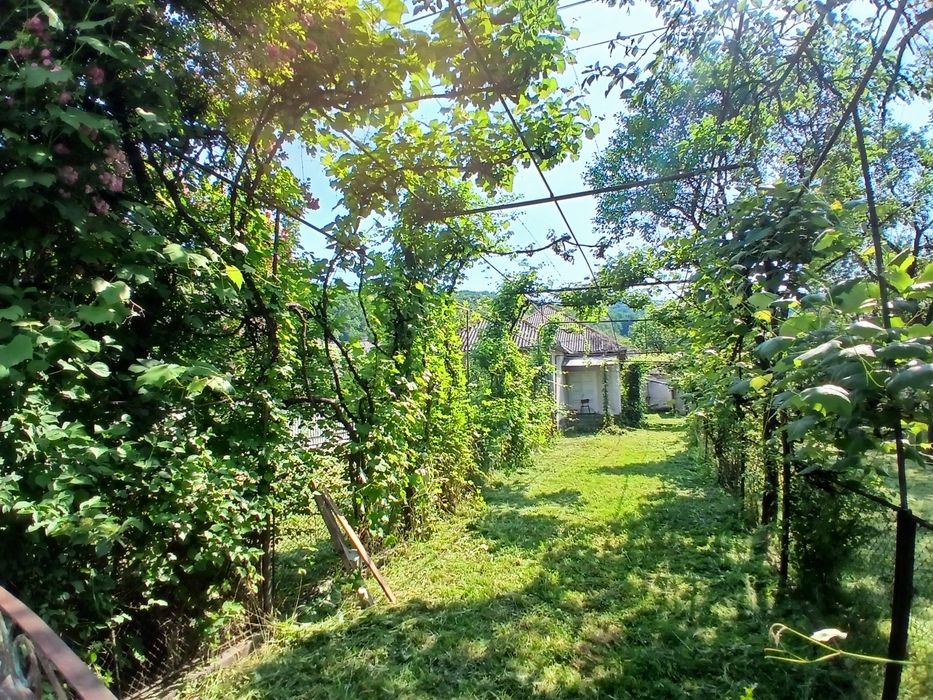 Продаємо ділянку 14 соток зі старим будинком  Солочин Закарпатської області