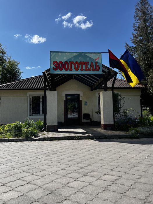 Зооготель Готель перетримка для тварин собак котів