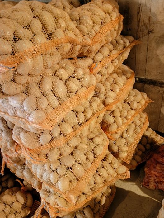 Ziemniaki Soraya jadalne