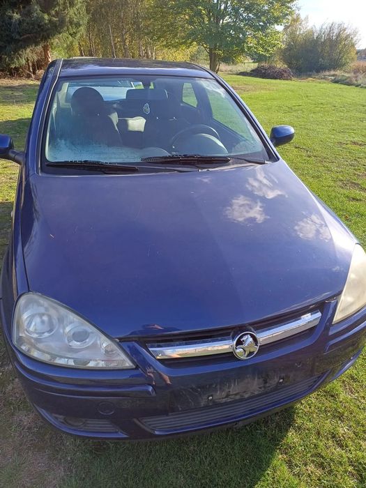 Opel Corsa C Kolor Z21B cała na części