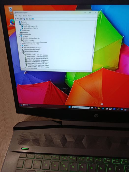 Laptop gamingowy HP 17.3 cali i5 24GB RAM GTX 1650 bang and olufsen