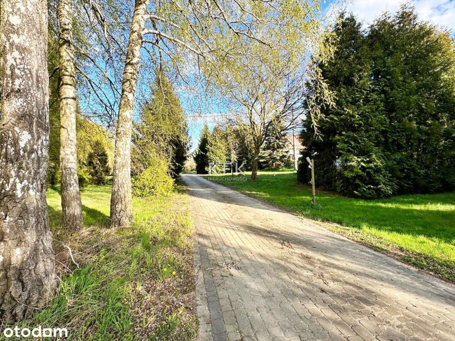 Działka 6000 m² Niczym Prywatny Park - Widok 2