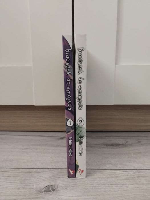 Braciszek do wynajęcia 1-2