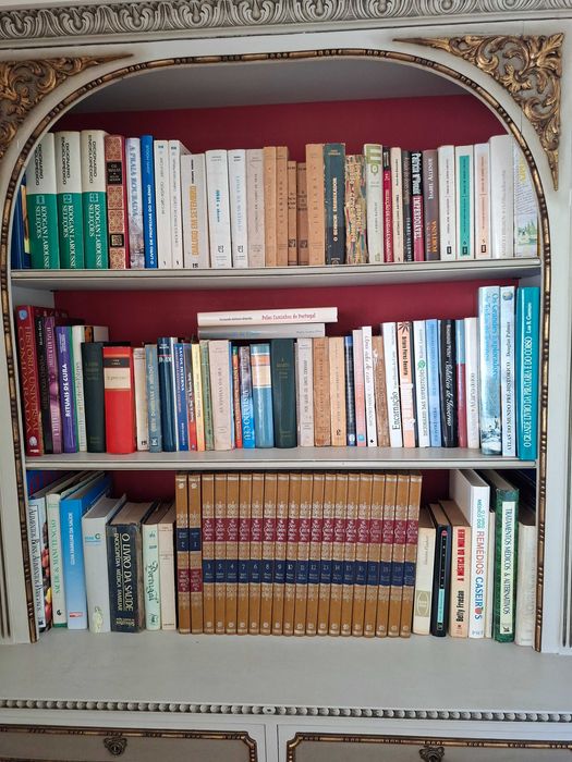 Livros - Lote de 100 livros de Autores Portugueses e estrangeiros