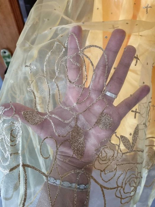 Vestido Bela e o Monstro