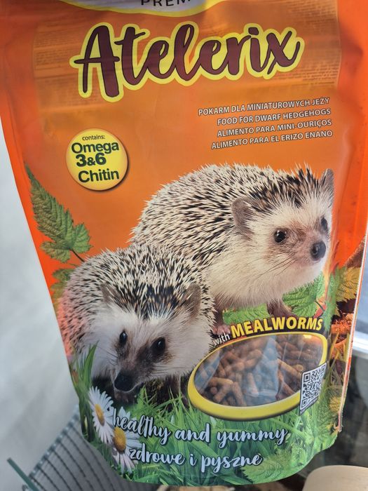 Terrarium dla jeża gekona chomika