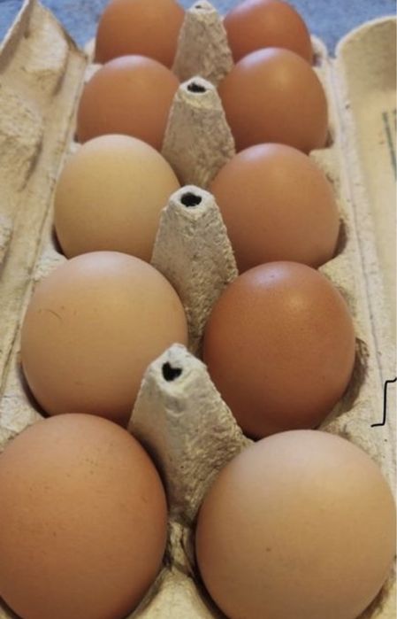 яйця домашні