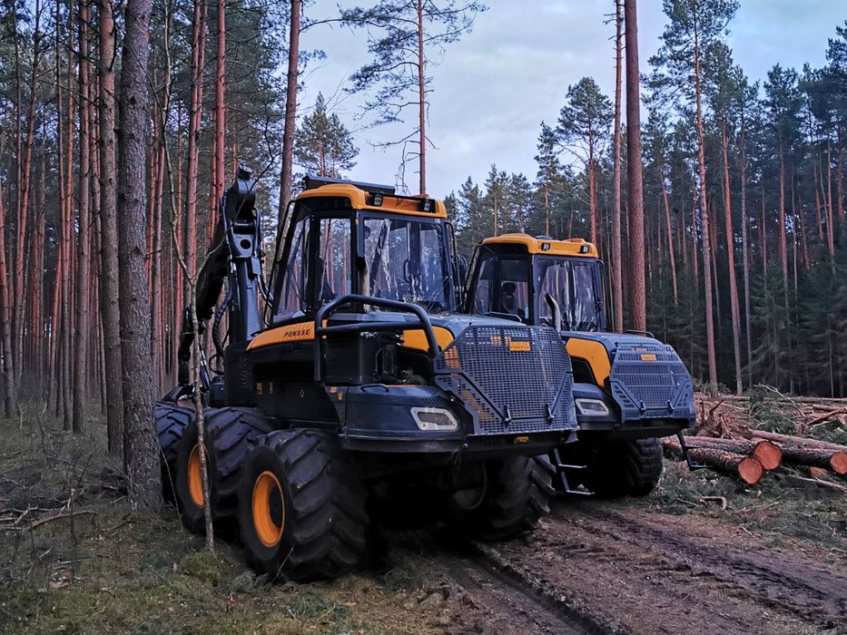 Mulczerowanie, rekultywacja gruntów,wycinka,  wycinka pod inwestycje