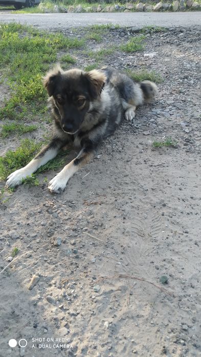 Безкоштовно. Дуже гарна молоденька дівчинка