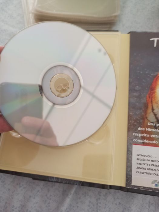 DVD Tigre dos Pântanos