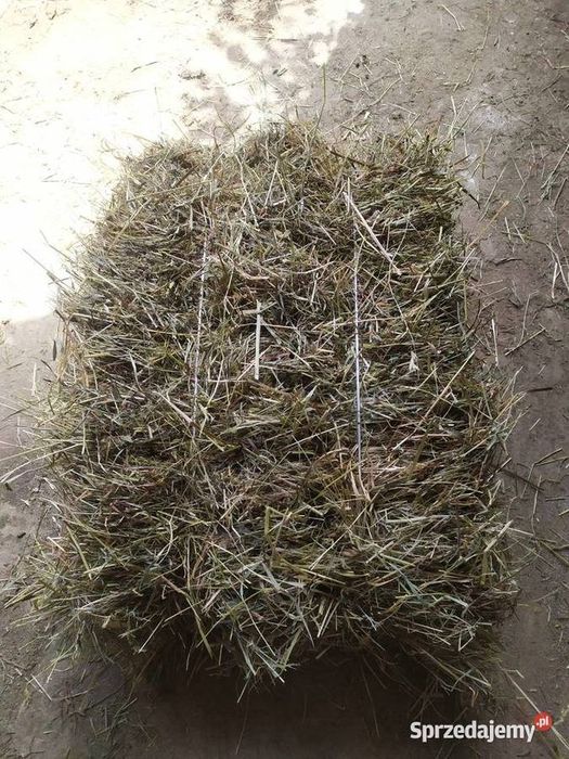 Sprzedam siano 2025