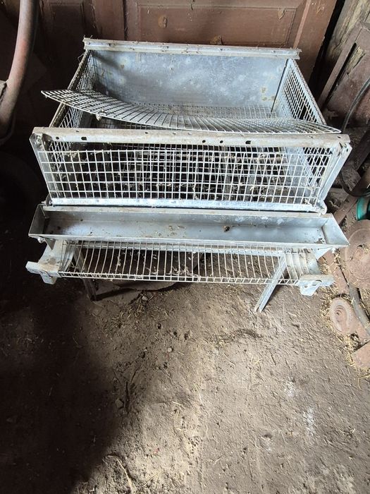 Клітка для перепелів.