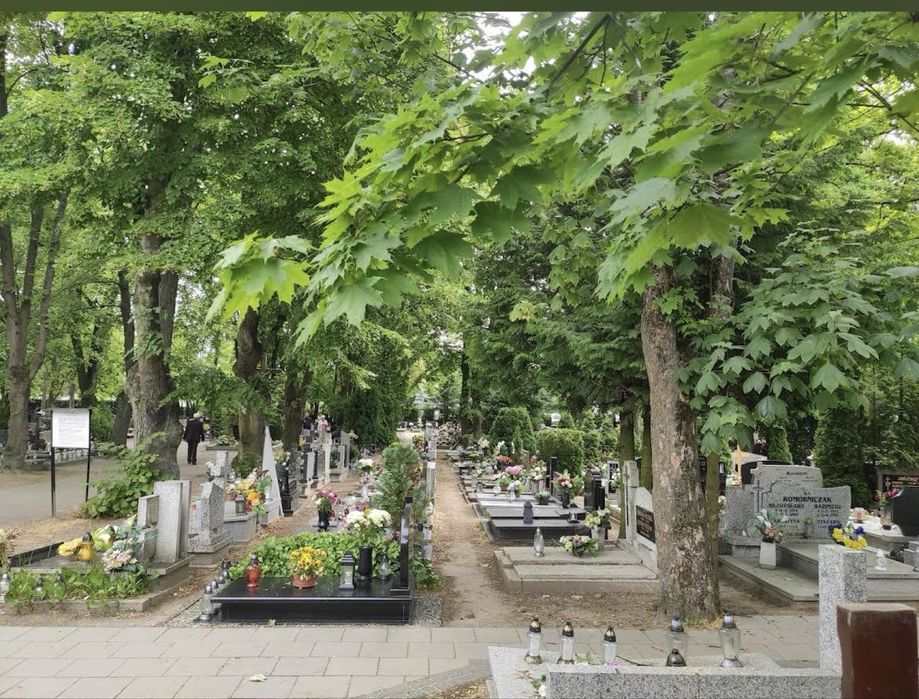 Odstąpię miejsce na cmenyarzu Poznan