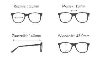 Okulary przeciwsłoneczne Ralph Lauren + twarde etui RL