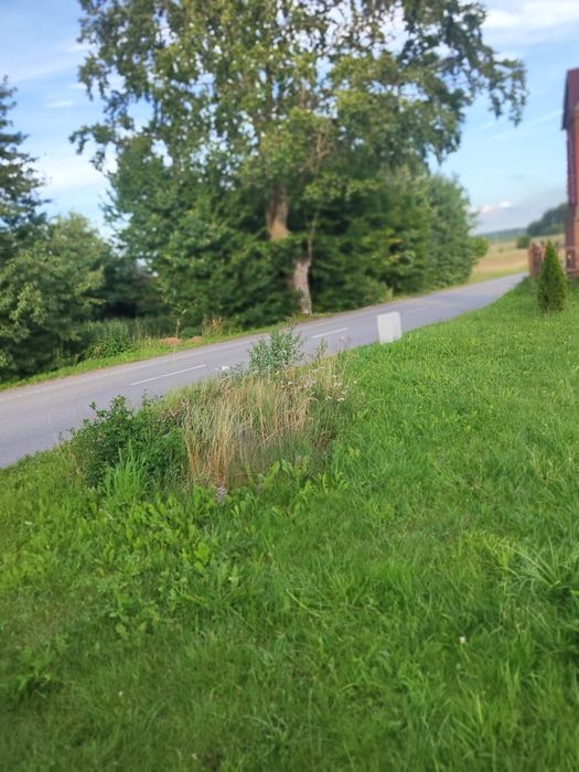 Działka budowlana w Żurominie gmina stężyca - Widok 5