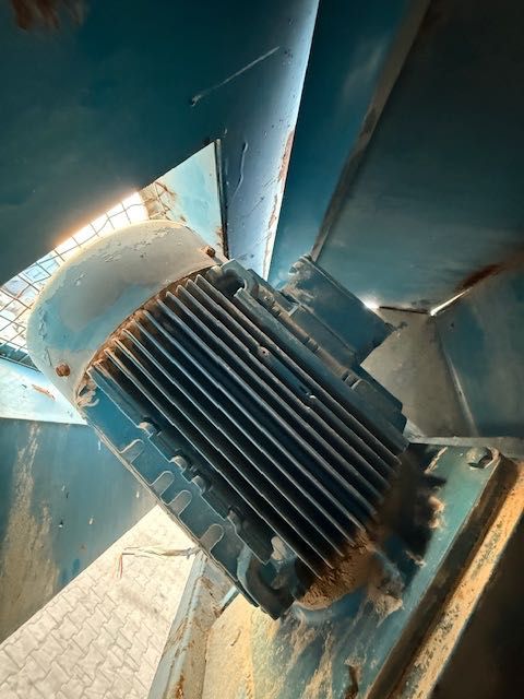 Myjka pluczka do warzyw ziemniaków pietruszki marchewki