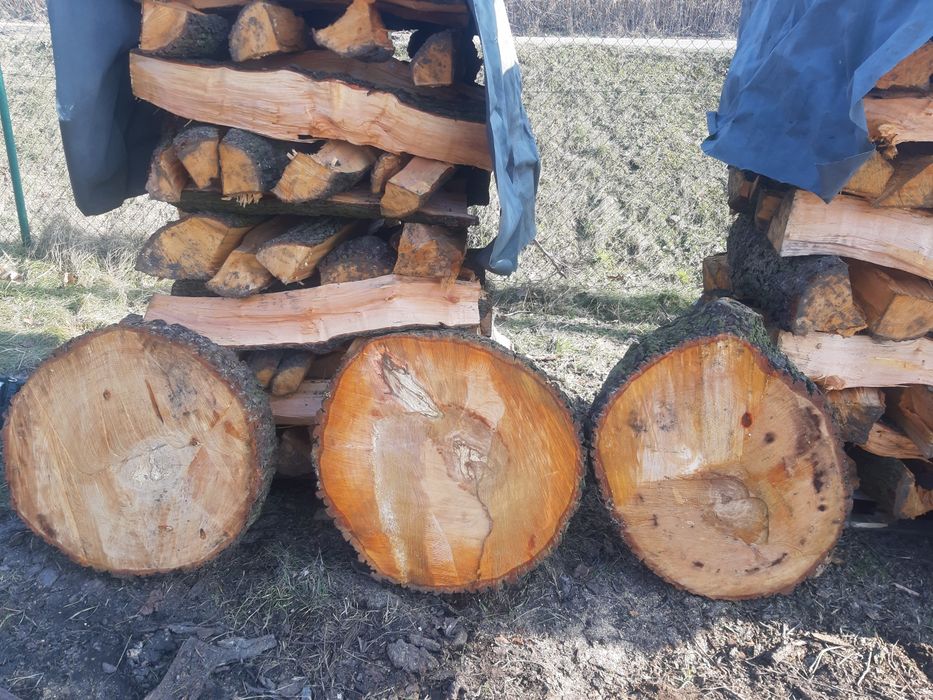 Sprzedam plastry drewna na stolik