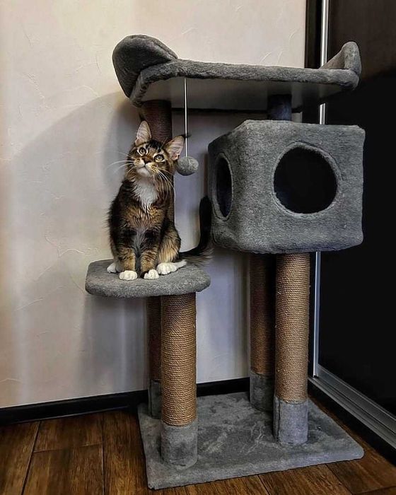 Домик когтеточка лежанка Игровой комплекс для кота дряпка