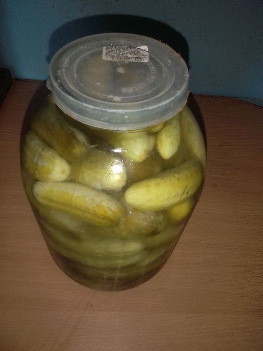 Огірки, помідори, яблука квашені пересилаю