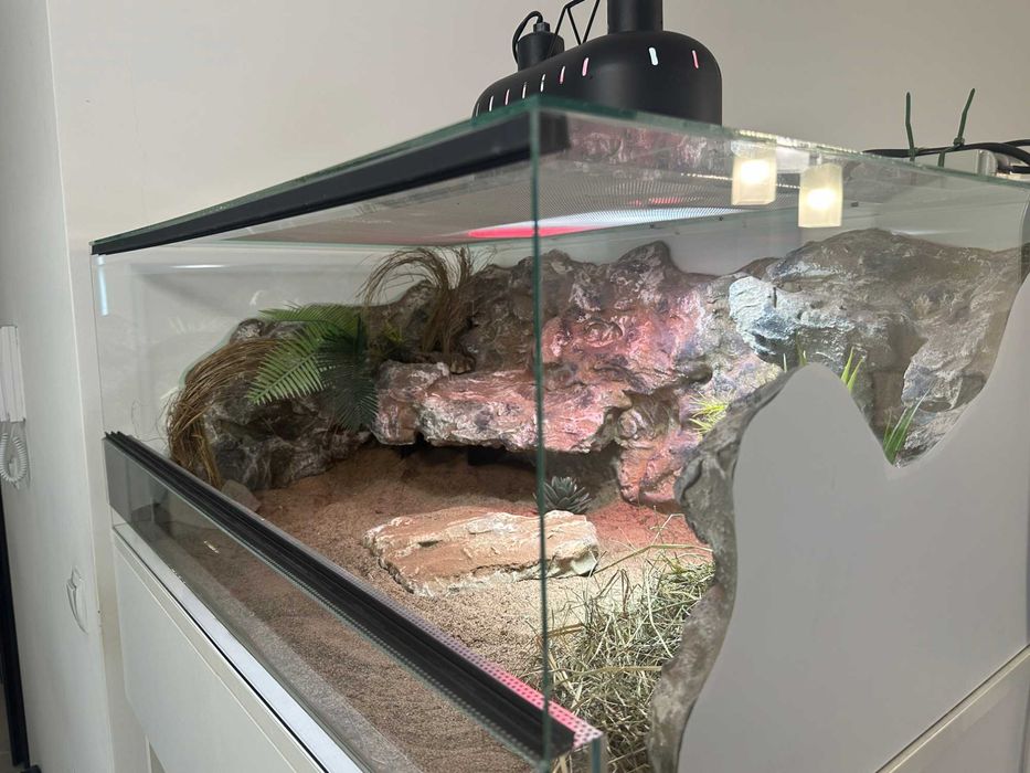 Terrarium ze ścianką\wyposażeniem 85x55x35