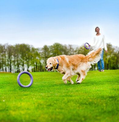 Тренувальний снаряд Puller