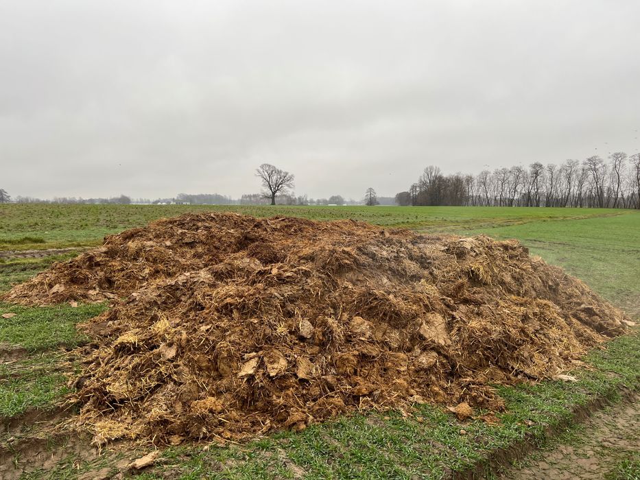 Pomiot kurzy, obornik