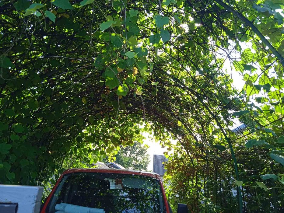 еОселя! Продаж будинку із великою земельною ділянкою в Іванівцях Колом