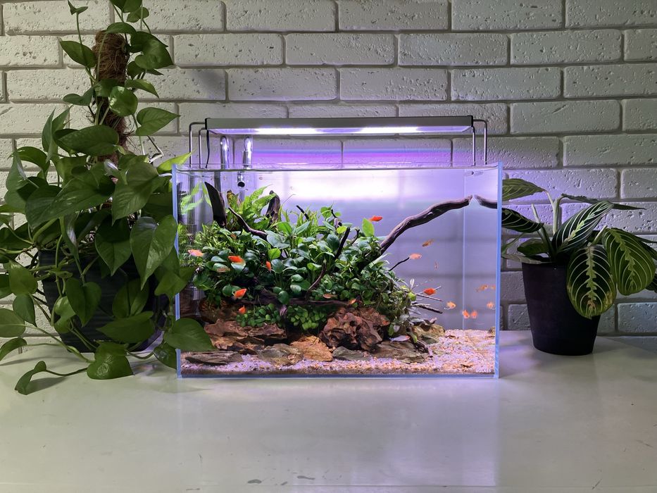 Аквариум Aquascape
