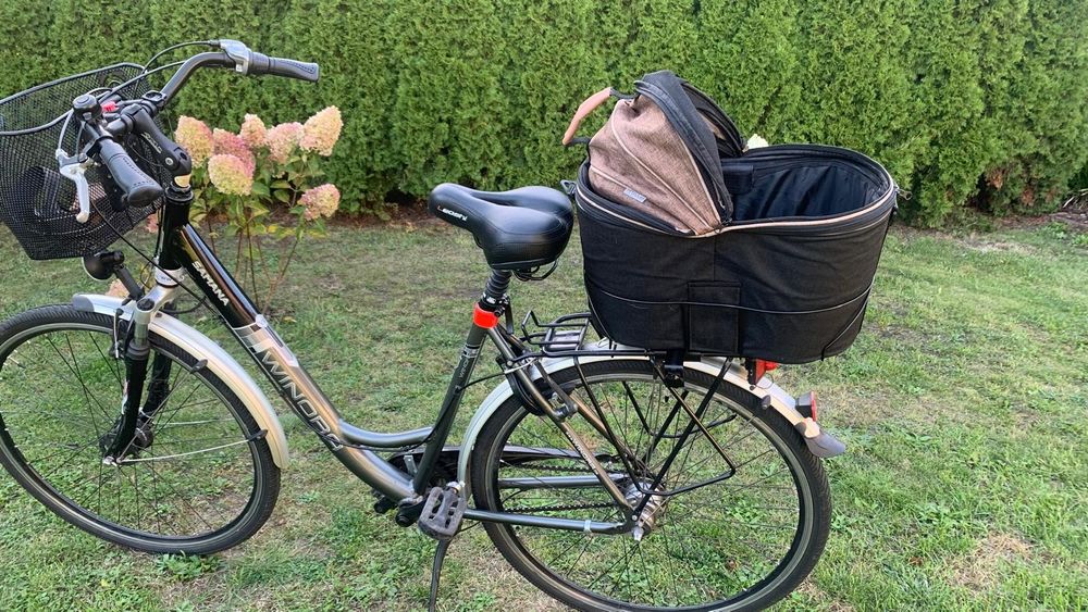 Kosz na rower dla psa lub kota