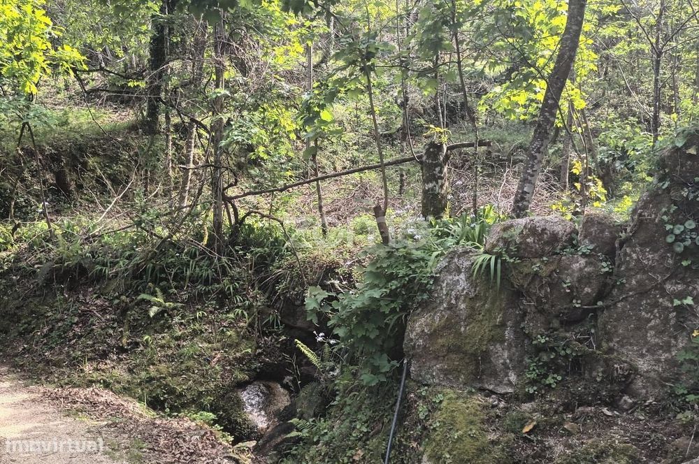 Terreno Rustico em Vieira do Minho