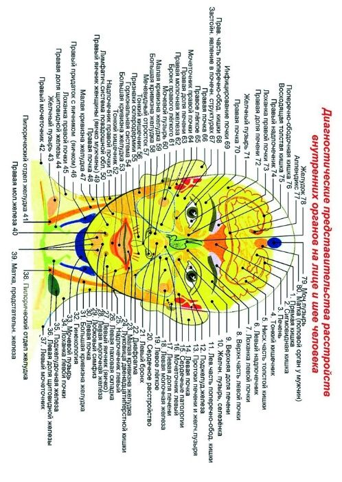 Продам Анатомические и медицинские плакаты