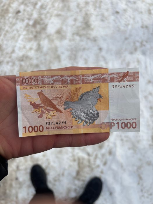 Французькі 1000франків