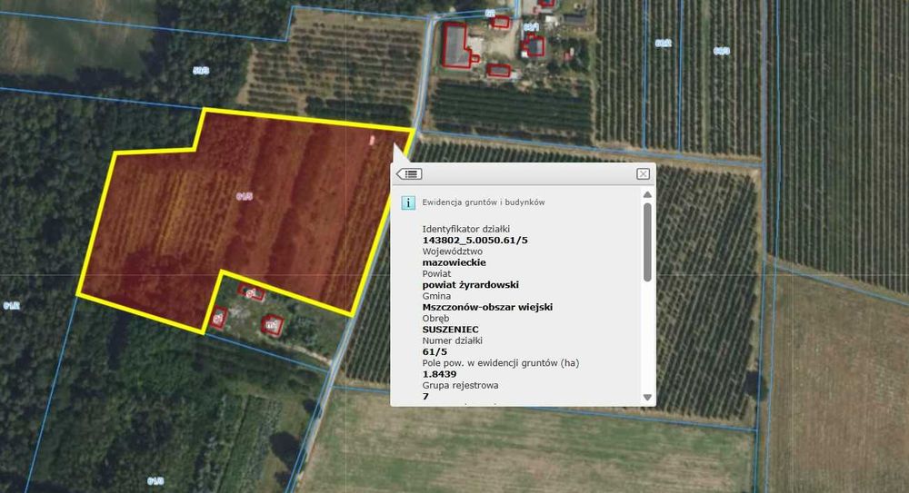 Sprzedam działkę siedliskową ze starym sadem 18 439 m² (ok2ha). Gmina Mszczonów, 55 km od Warszawy – 1 h drogi - Widok 2