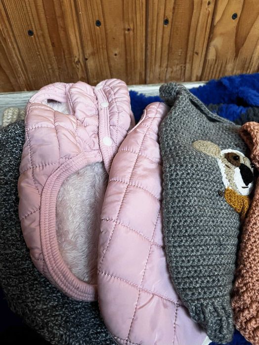 Лот одягу для маленьких собак | новий та б/в