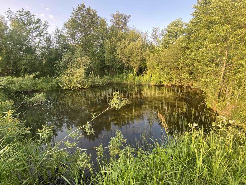 Будинок село Буща.