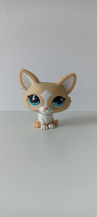 Piesek Littlest pet shop