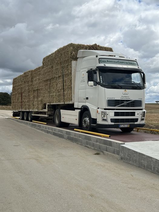 Vende-se feno semeado ESPECIAL
