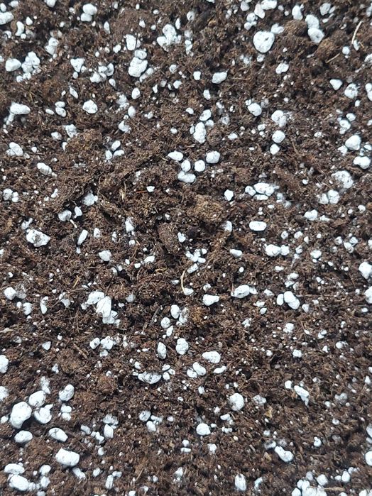 Substrato para carnívoras