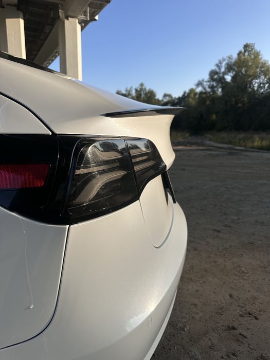 Tesla 3 Perfomance