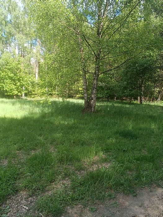 Działka w Łagówku z WZ na sprzedaż