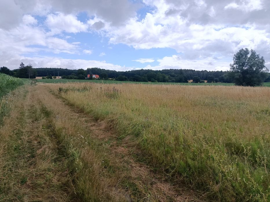 Sprzedam działkę rolno-budowlaną
