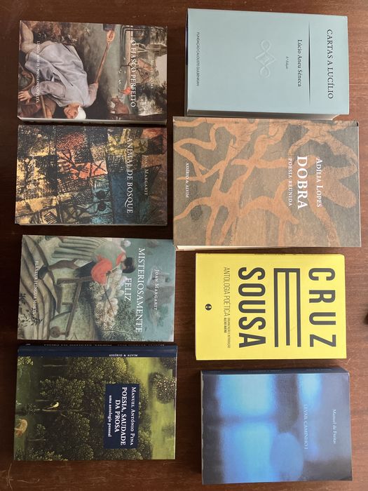 Literatura - Preço unitário (portes incluídos)