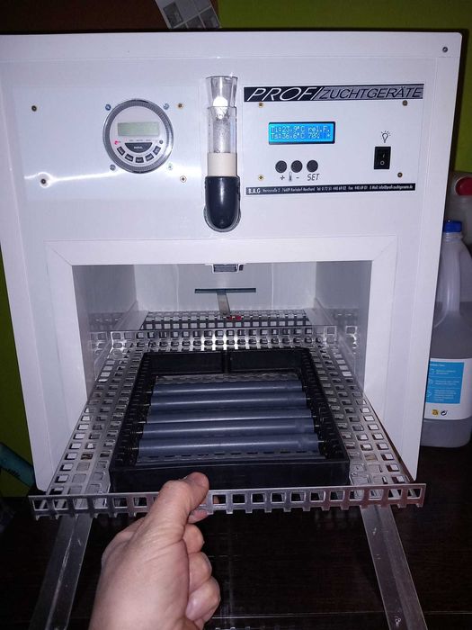 Chocadeira para aves